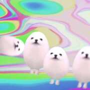 ヒメ日記 2025/12/20 19:30 投稿 るか MINT（ミント）