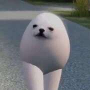 ヒメ日記 2025/12/26 19:01 投稿 るか MINT（ミント）