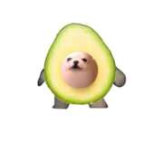 ヒメ日記 2026/01/22 19:30 投稿 るか MINT（ミント）