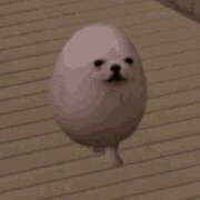 ヒメ日記 2026/02/20 19:30 投稿 るか MINT（ミント）