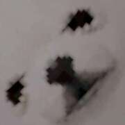 ヒメ日記 2026/02/21 19:30 投稿 るか MINT（ミント）