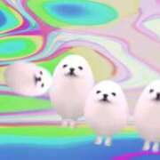 ヒメ日記 2026/02/26 19:15 投稿 るか MINT（ミント）