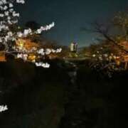 ヒメ日記 2025/04/04 15:02 投稿 えれな CA倶楽部