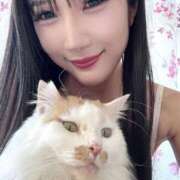 ヒメ日記 2025/11/04 04:24 投稿 純 ニュー姫