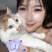 純 今週の空きラストひと枠です。 ニュー姫