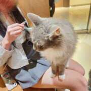 かおる かおる（スピード京橋店） スピード京橋店