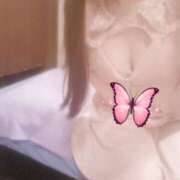 ヒメ日記 2025/05/05 23:36 投稿 りり 吉原ファーストレディ