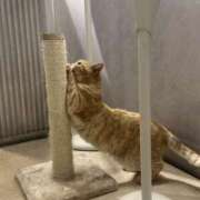 ヒメ日記 2024/12/14 06:36 投稿 なつき 吉原ファーストレディ