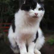 ヒメ日記 2024/12/18 06:17 投稿 なつき 吉原ファーストレディ