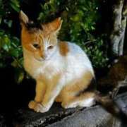 ヒメ日記 2024/12/23 08:36 投稿 なつき 吉原ファーストレディ