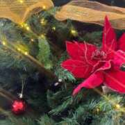 ヒメ日記 2024/12/24 07:26 投稿 なつき 吉原ファーストレディ