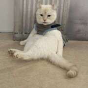 ヒメ日記 2024/12/29 06:19 投稿 なつき 吉原ファーストレディ