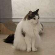 ヒメ日記 2025/01/14 06:36 投稿 なつき 吉原ファーストレディ