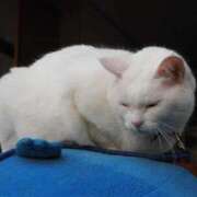 ヒメ日記 2025/01/18 06:41 投稿 なつき 吉原ファーストレディ