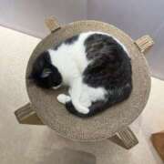 ヒメ日記 2025/01/20 06:30 投稿 なつき 吉原ファーストレディ