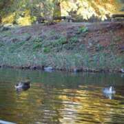 ヒメ日記 2025/01/21 06:26 投稿 なつき 吉原ファーストレディ