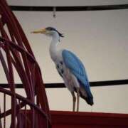 ヒメ日記 2025/01/24 06:36 投稿 なつき 吉原ファーストレディ