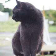 ヒメ日記 2025/01/29 06:36 投稿 なつき 吉原ファーストレディ