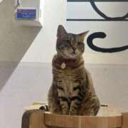 ヒメ日記 2025/02/03 06:09 投稿 なつき 吉原ファーストレディ