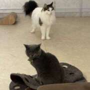 ヒメ日記 2025/02/22 06:59 投稿 なつき 吉原ファーストレディ