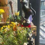 ヒメ日記 2025/02/23 06:32 投稿 なつき 吉原ファーストレディ