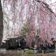 ヒメ日記 2025/02/24 17:59 投稿 なつき 吉原ファーストレディ