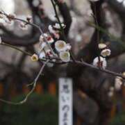 ヒメ日記 2025/03/05 23:26 投稿 なつき 吉原ファーストレディ