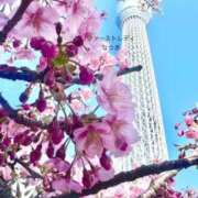 ヒメ日記 2025/03/06 20:16 投稿 なつき 吉原ファーストレディ