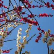 ヒメ日記 2025/03/08 06:26 投稿 なつき 吉原ファーストレディ