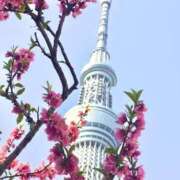 ヒメ日記 2025/03/11 20:06 投稿 なつき 吉原ファーストレディ