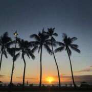 ヒメ日記 2025/03/14 16:04 投稿 なつき 吉原ファーストレディ