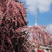 ヒメ日記 2025/03/17 16:40 投稿 なつき 吉原ファーストレディ