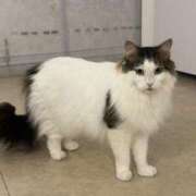 ヒメ日記 2025/03/20 06:16 投稿 なつき 吉原ファーストレディ