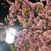 ヒメ日記 2025/03/24 23:10 投稿 なつき 吉原ファーストレディ