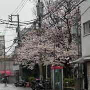 ヒメ日記 2025/04/03 07:03 投稿 なつき 吉原ファーストレディ