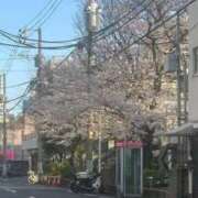 ヒメ日記 2025/04/04 07:17 投稿 なつき 吉原ファーストレディ