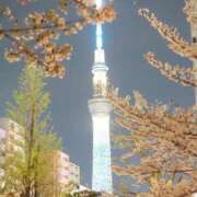 ヒメ日記 2025/04/09 06:11 投稿 なつき 吉原ファーストレディ