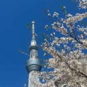 ヒメ日記 2025/04/10 06:26 投稿 なつき 吉原ファーストレディ