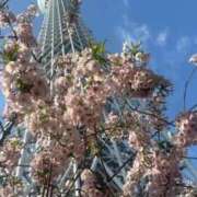 ヒメ日記 2025/04/18 06:36 投稿 なつき 吉原ファーストレディ