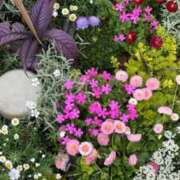 ヒメ日記 2025/04/18 11:06 投稿 なつき 吉原ファーストレディ