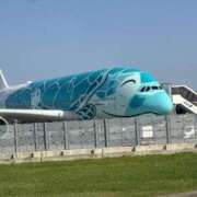 ヒメ日記 2025/04/23 12:39 投稿 なつき 吉原ファーストレディ