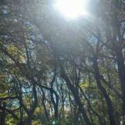 ヒメ日記 2025/04/24 06:56 投稿 なつき 吉原ファーストレディ