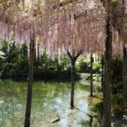 ヒメ日記 2025/04/28 07:06 投稿 なつき 吉原ファーストレディ