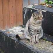 ヒメ日記 2025/05/09 07:28 投稿 なつき 吉原ファーストレディ