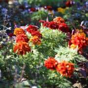 ヒメ日記 2025/05/14 06:34 投稿 なつき 吉原ファーストレディ