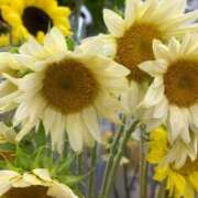 ヒメ日記 2025/05/19 06:26 投稿 なつき 吉原ファーストレディ