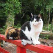 ヒメ日記 2025/05/21 06:46 投稿 なつき 吉原ファーストレディ