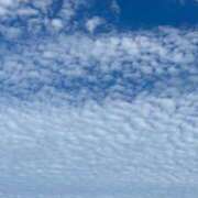 ヒメ日記 2025/06/04 07:06 投稿 なつき 吉原ファーストレディ