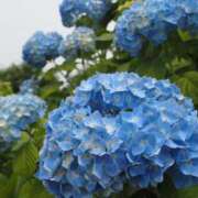 ヒメ日記 2025/06/10 06:36 投稿 なつき 吉原ファーストレディ