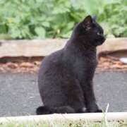 ヒメ日記 2025/06/11 07:36 投稿 なつき 吉原ファーストレディ